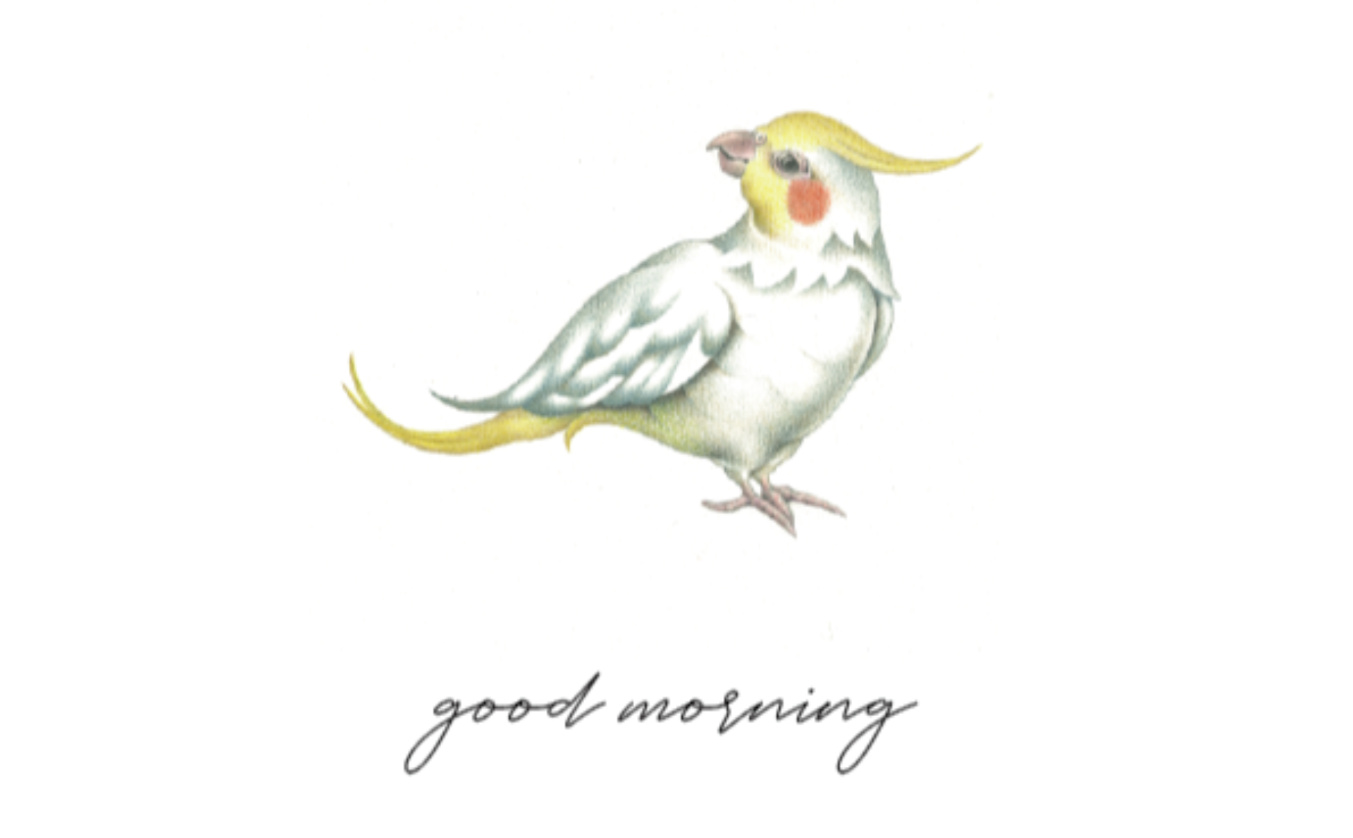 GOOD MORNING by 光宗薫 | NUANCE LAB.