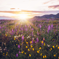 GOOD MORNING by 光宗薫 | NUANCE LAB.
